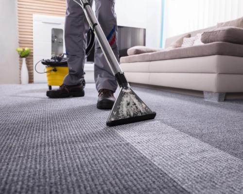 Freshly cleaned dry carpet kept free of mold and moisture